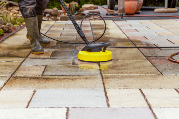 Best Driveway Cleaning and Restoration in Hainesvle, IL