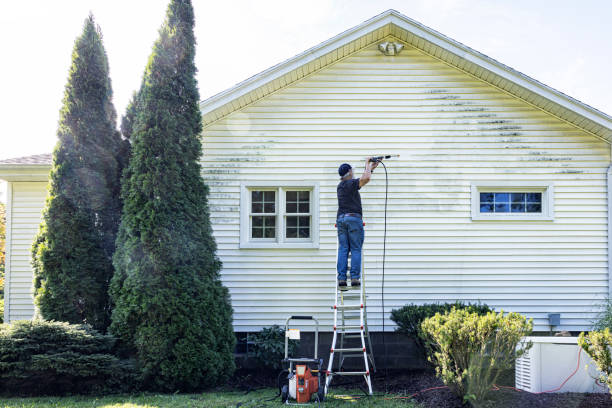 Best Fence Cleaning and Maintenance in Hainesvle, IL